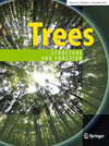 Trees-structure And Function