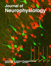 Journal Of Neurophysiology